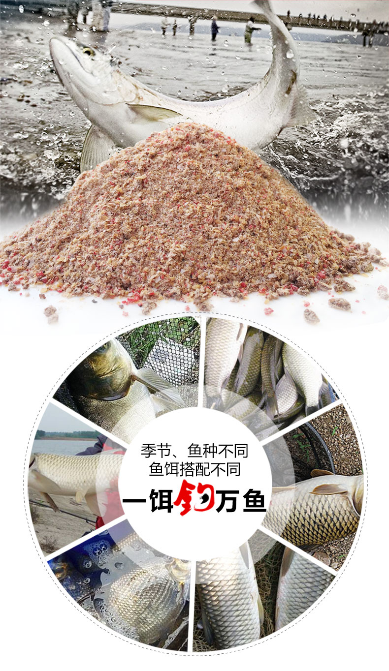 野战蓝鲫_03.jpg