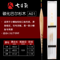 清仓七星彩鱼漂A系碳化巴尓杉浮标流线型浮漂混合鱼钓具渔具