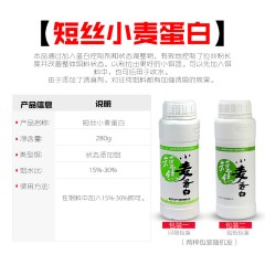 武汉天元刚舟系列 复合拉丝粉瓶装300g 粉末状态添加剂鱼饵 饵料